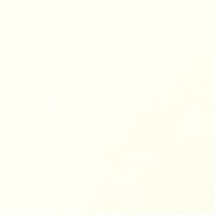 Camellia White CW013 Zenstone